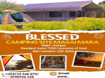 1 Night/day from Nairobi to Masai Mara and Back to Nairobi