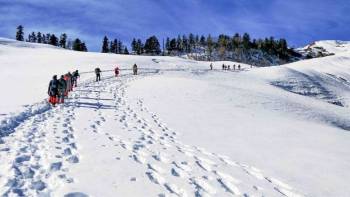 2 Days Triund Trek Tour