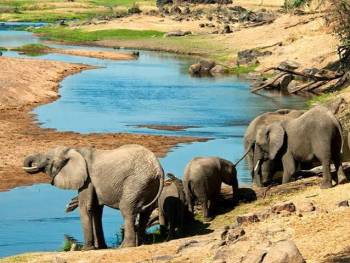 Saadani National Park - Zanzibar Experience Tour
