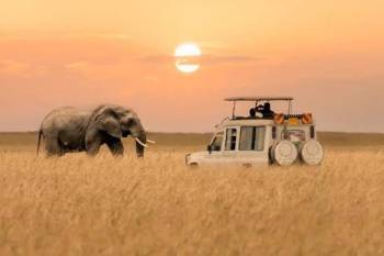 Tanzania Safari - Zanzibar 10 Days - 9 Nights Luxury Safari - Beach Experience Tour
