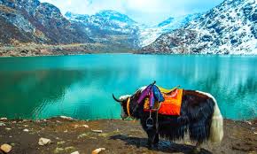 Pelling Tour Packages