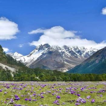 2 Nights 3 Days North Sikkim tour