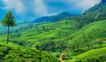7 Night - 8 Days Sri Lanka Tour Package