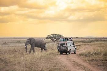 6 Night - 7 Days Tanzania Classic Tour