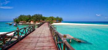 11 Days Best Of Safari And Zanzibar Getaway Tour