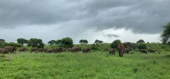 Ngorongoro Tour Packages