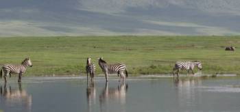 7 Days Luxury Lodge Safari Tour