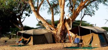 4 Days Tanzania Camping Safari Tour