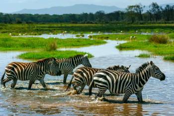 4-Day Majestic Tanzania - Mid-Range Tour