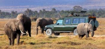 6 Days Amboseli - Lake Nakuru And Masai Mara Private Safari Tour