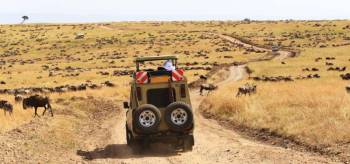 7 Days Economic Kenya Safari Tour