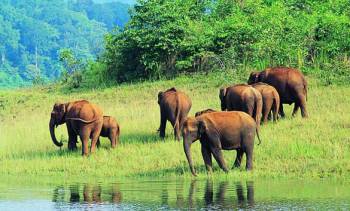 Best Of South India - Architecture - Wildlife Tour 11 Nights - 12 Days