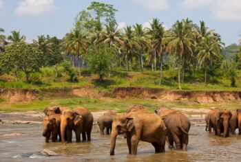 Best Of Kerala Tour 3 Night - 4 Day