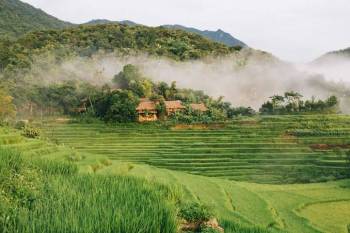 Vietnam Classic 07 Days - 06 Nights Tour