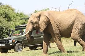 3 Days Samburu Tour Package