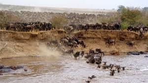 3 Days Maasai Mara Tour Package