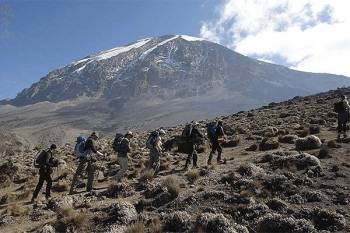 6 Days 5 Nights - Lemosho Route Kilimanjaro Climb Tour
