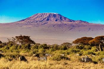 6 Days 5 Nights - Umbwe Route Kilimanjaro Climb Tour