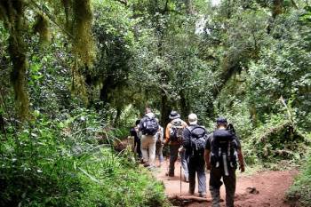 5 Days 4 Nights - Marangu Route Kilimanjaro Climb Tour