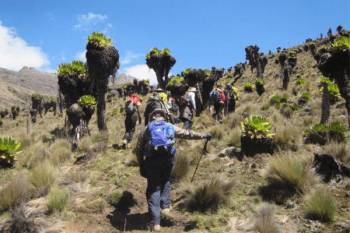 5 Days 4 Nights Mt Kenya Climbing Naromoru - Chogoria Route Tour