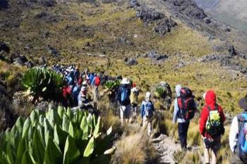 6 Days 5 Nights Mt Kenya Climbing Naromoru Chogoria Route Tour