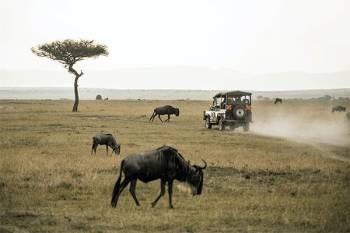 8D 7N Masai Mara Game Reserve-Lake Naivasha-Amboseli National Park And Tsavo West National Park Tour