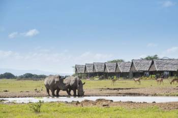 7 Days 6 Nights Sweetwaters - Nakuru - Masai Mara Safari Tour