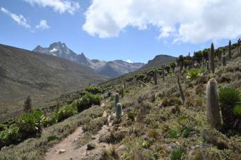 7 Days 6 Nights Mt Kenya - Samburu - Nakuru - Masai Mara - Nairobi Tour