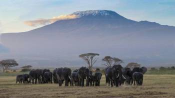 6 Days 5 Nights Amboseli - Tsavo West - Taita Hills Game Sanctuary Tour