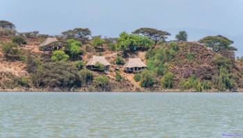 6 Days 5 Nights Lake Nakuru - Bogoria - Baringo - Lake Naivasha - Masai Mara Safari Tour
