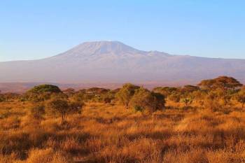 5 Days 4 Nights Amboseli - Tsavo National Park Safari Tour
