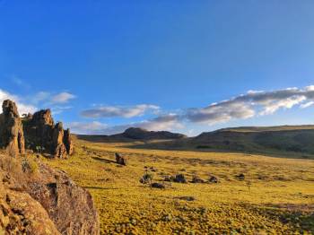 4 Days 3 Nights Aberdare - Samburu Safari Tour