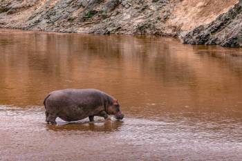6 Days 5 Nights Kenya Safari Tour