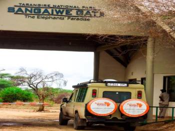 5 Days 4 Nights Arusha - Tarangire - Serengeti - Ngorongoro Crater Private Safari Tour