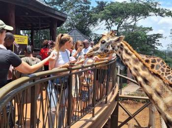 Nairobi National Park - Elephant Orphanage - Giraffe Centre Tour