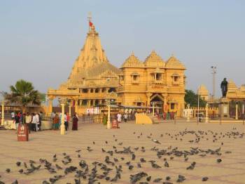 Sasan Tour Packages