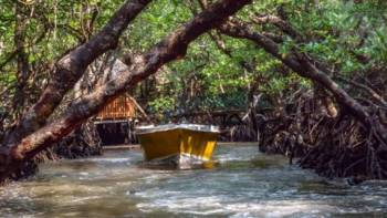 Rangat Tour Packages