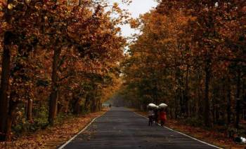 Jhargram Tour Package 2 Nights - 3 Days