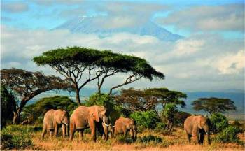 5-Day Unique Luxurious Kenyan Coast Tour