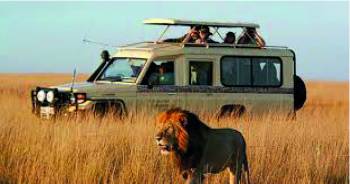 5-Day Unique Luxurious Kenyan Coast Tour