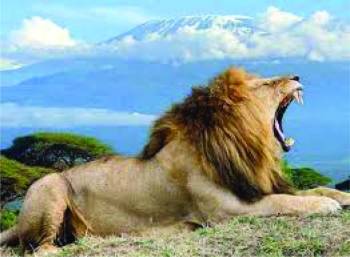 3-Day Amboseli and Wonderful Views of Mount Kilimanjaro