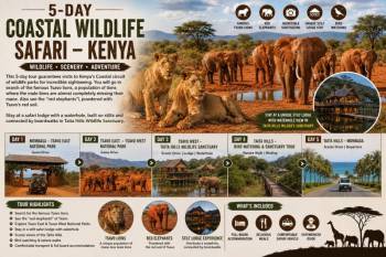 5-Day Into Kenya's Coastal Circuit Tour