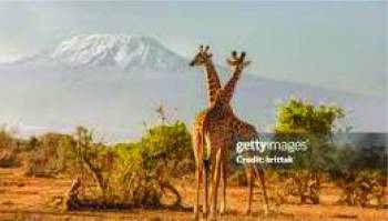 6-Day Mid Safari to Masai Mara, Great Lakes and Amboseli
