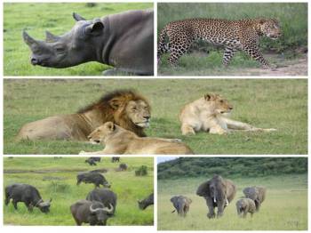 4-Day Exclusive Maasai Mara Luxurious Adventure Tour