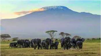 7-Day Big Five Adventure A Unique Kenya Bush Expedition Tour