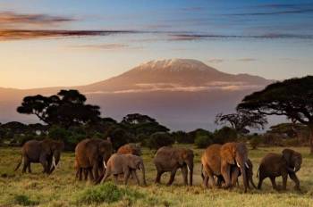 3-Day Safari With Giants In Amboseli Tour