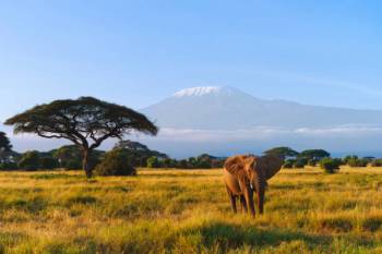 3-Day Safari With Giants In Amboseli Tour
