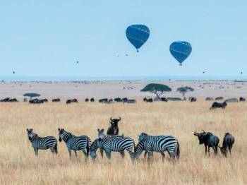 4-Day Exclusive Maasai Mara Luxurious Adventure Tour