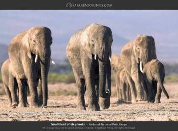 Taita Taveta Tour Packages