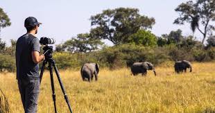13 Days Photography Safari Tour